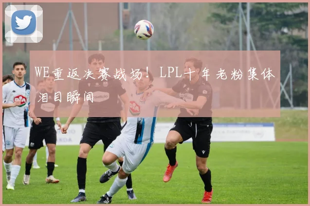 WE重返决赛战场！LPL十年老粉集体泪目瞬间