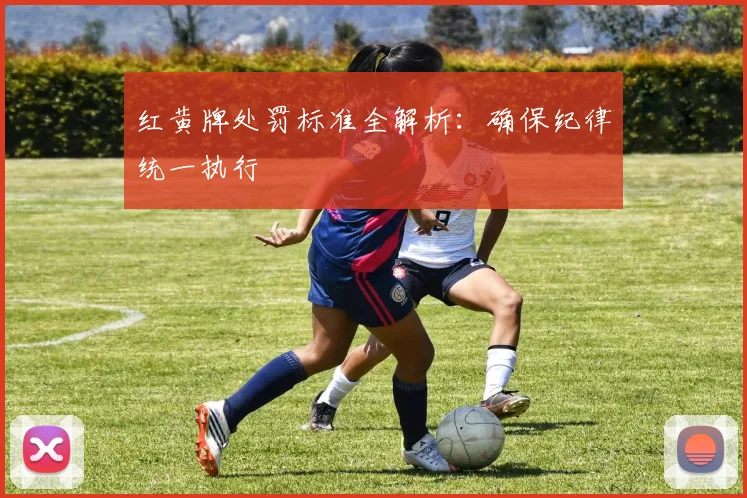 红黄牌处罚标准全解析:确保纪律统一执行